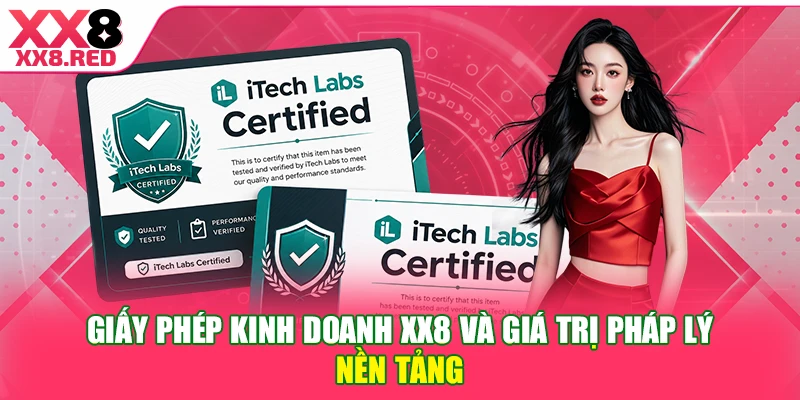 Giấy phép kinh doanh XX8 và giá trị pháp lý nền tảng