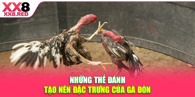 Những thế đánh tạo nên đặc trưng của gà đòn