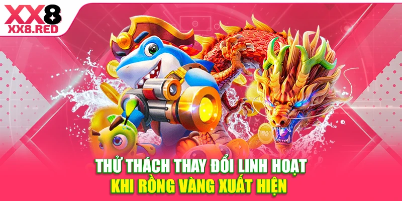 Thử thách thay đổi linh hoạt khi rồng vàng xuất hiện 